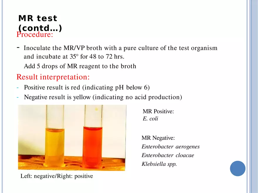 Bacterial Colonial Characteristics - Page 61
