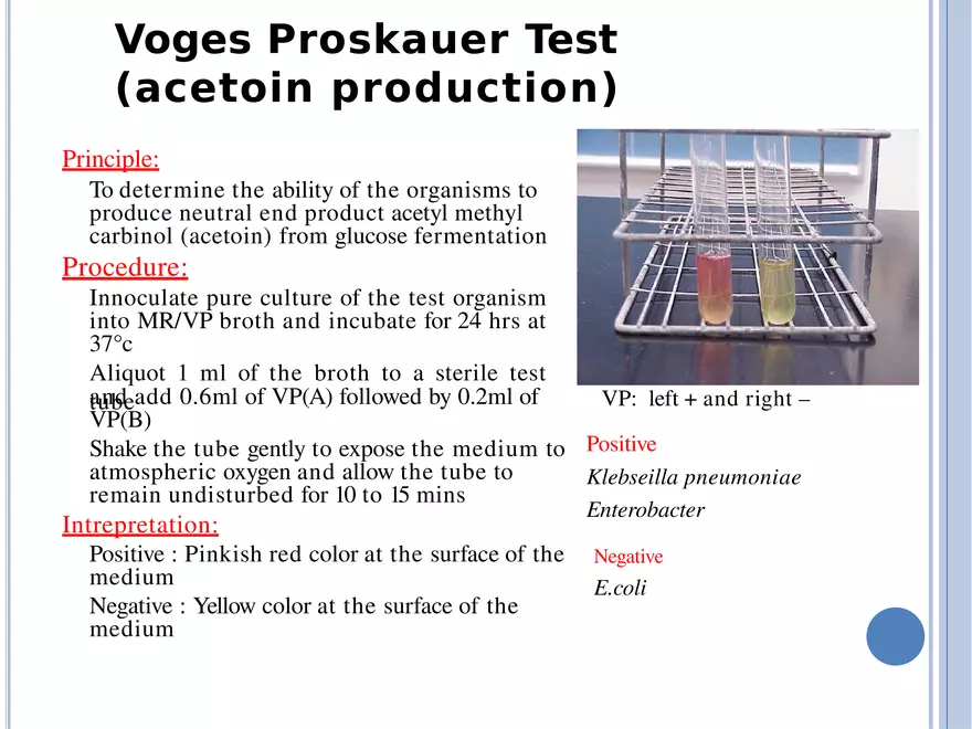 Bacterial Colonial Characteristics - Page 62