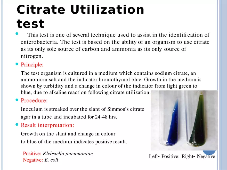 Bacterial Colonial Characteristics - Page 64