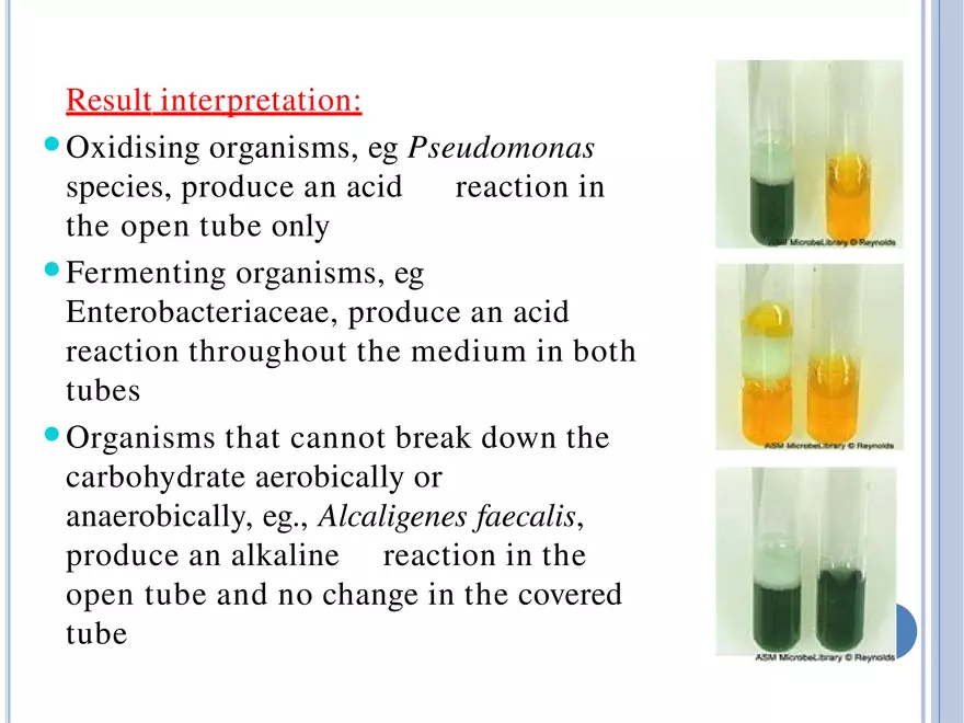 Bacterial Colonial Characteristics - Page 66