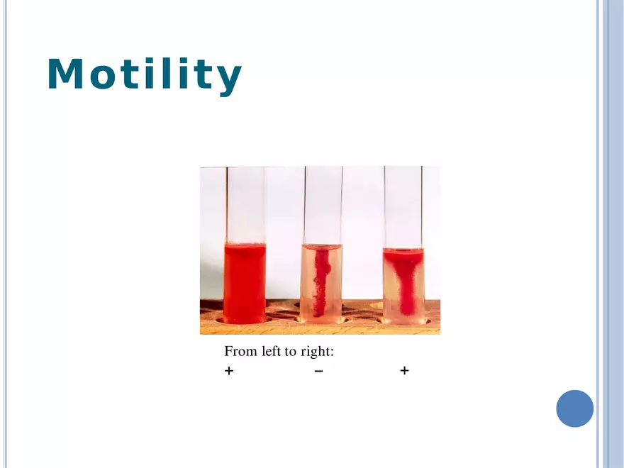 Bacterial Colonial Characteristics - Page 68