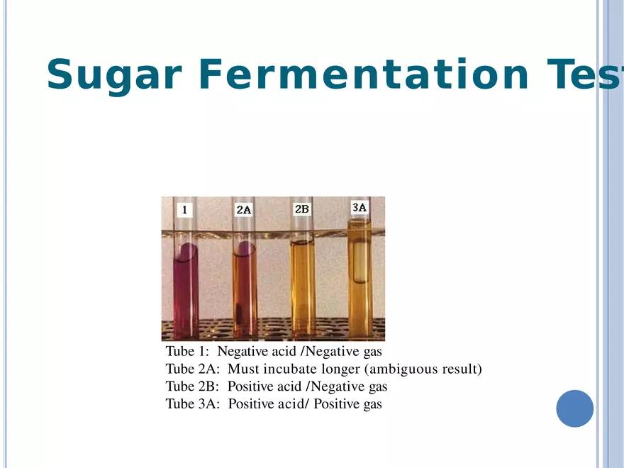Bacterial Colonial Characteristics - Page 72