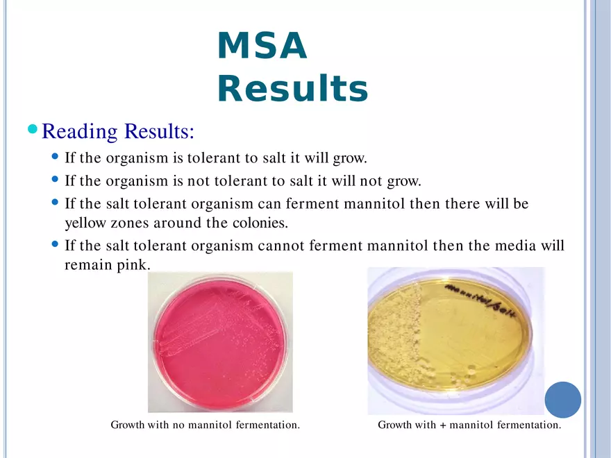 Bacterial Colonial Characteristics - Page 77