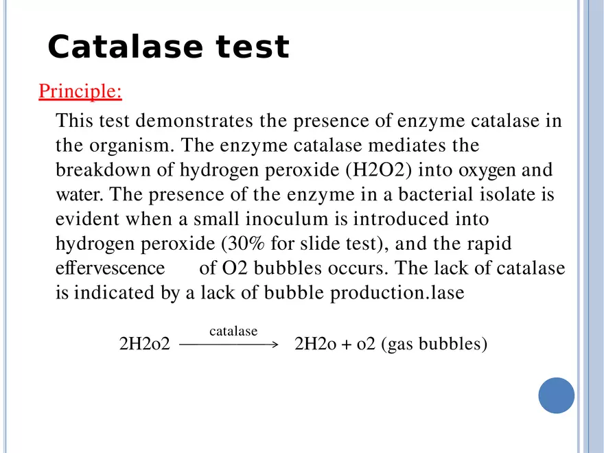 Bacterial Colonial Characteristics - Page 79