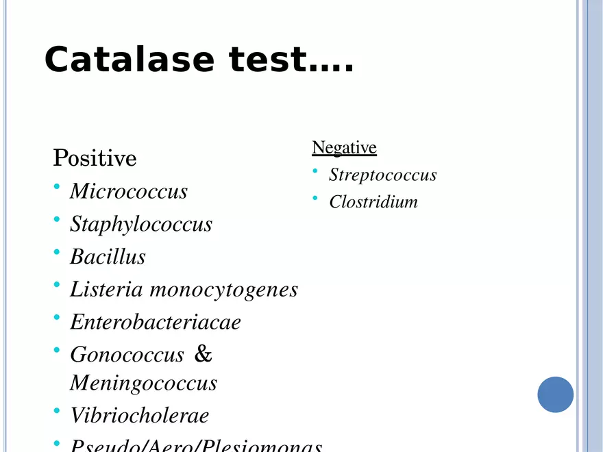 Bacterial Colonial Characteristics - Page 82
