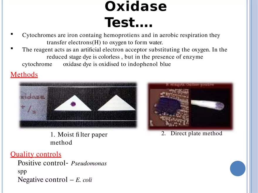 Bacterial Colonial Characteristics - Page 84