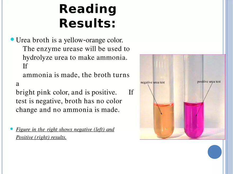 Bacterial Colonial Characteristics - Page 88