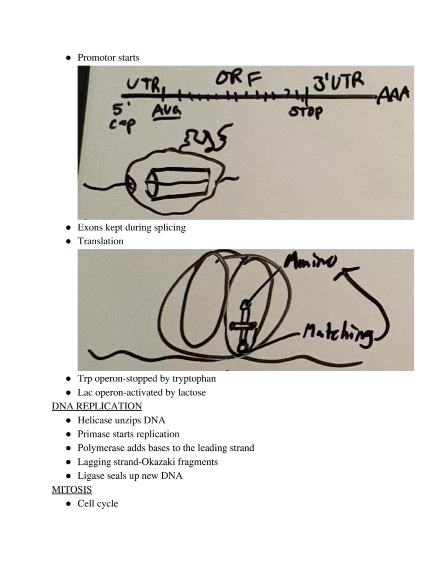 Biology Exam Note - Page 9