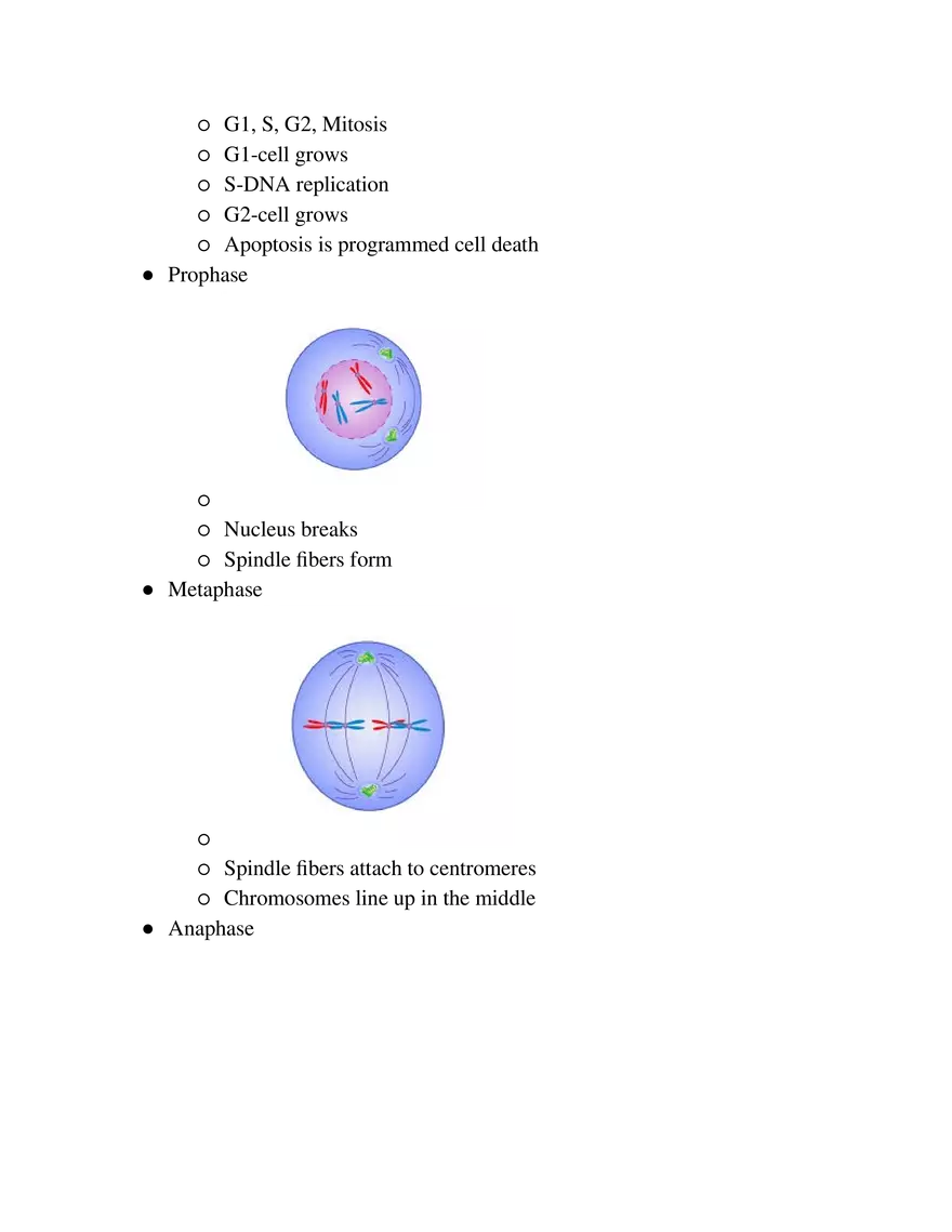 Biology Exam Note - Page 10