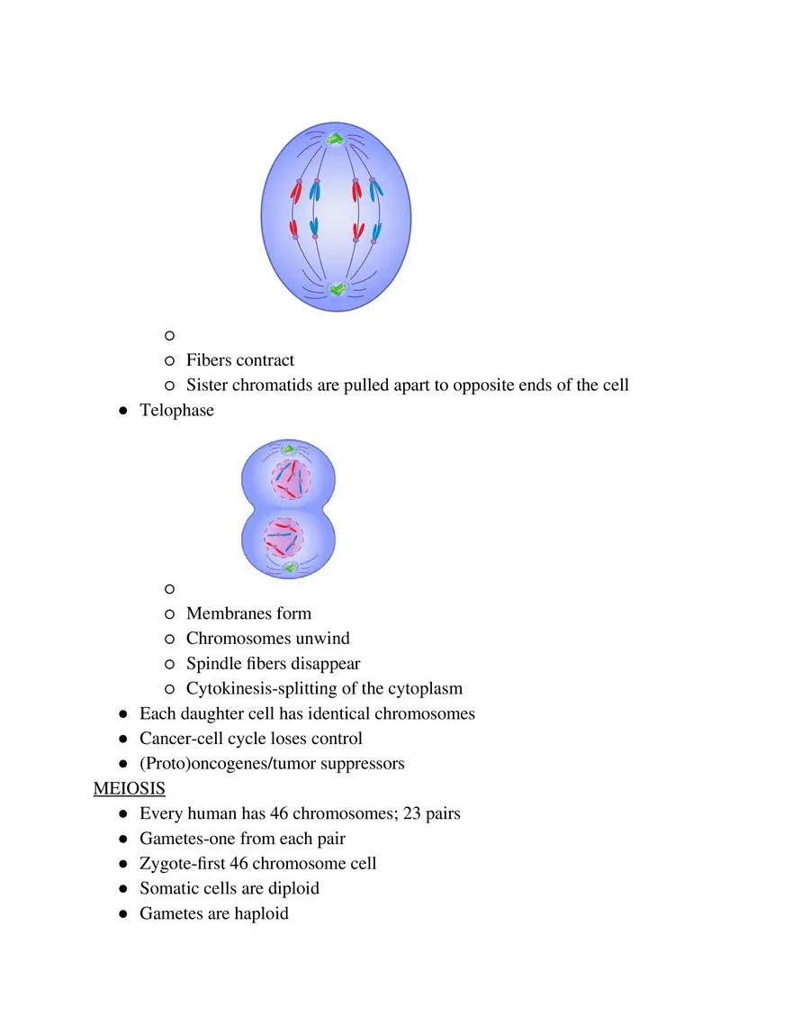 Biology Exam Note - Page 11