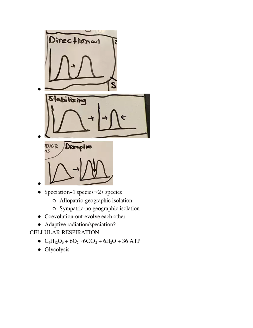 Biology Exam Note - Page 4