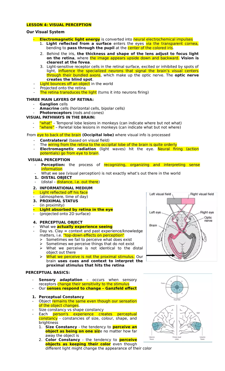 Lesson 4  Visual Perception - Page 1