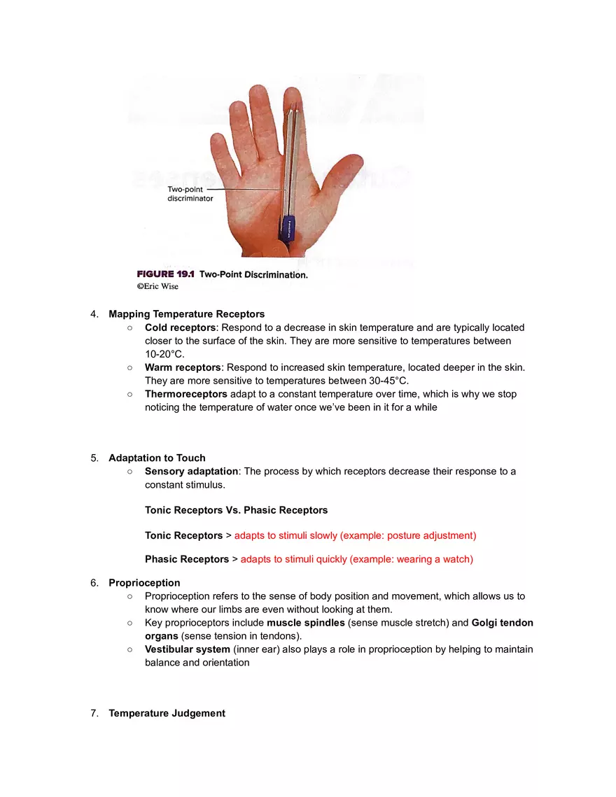 (A) Exercise 19: Cutaneous Senses - Page 2