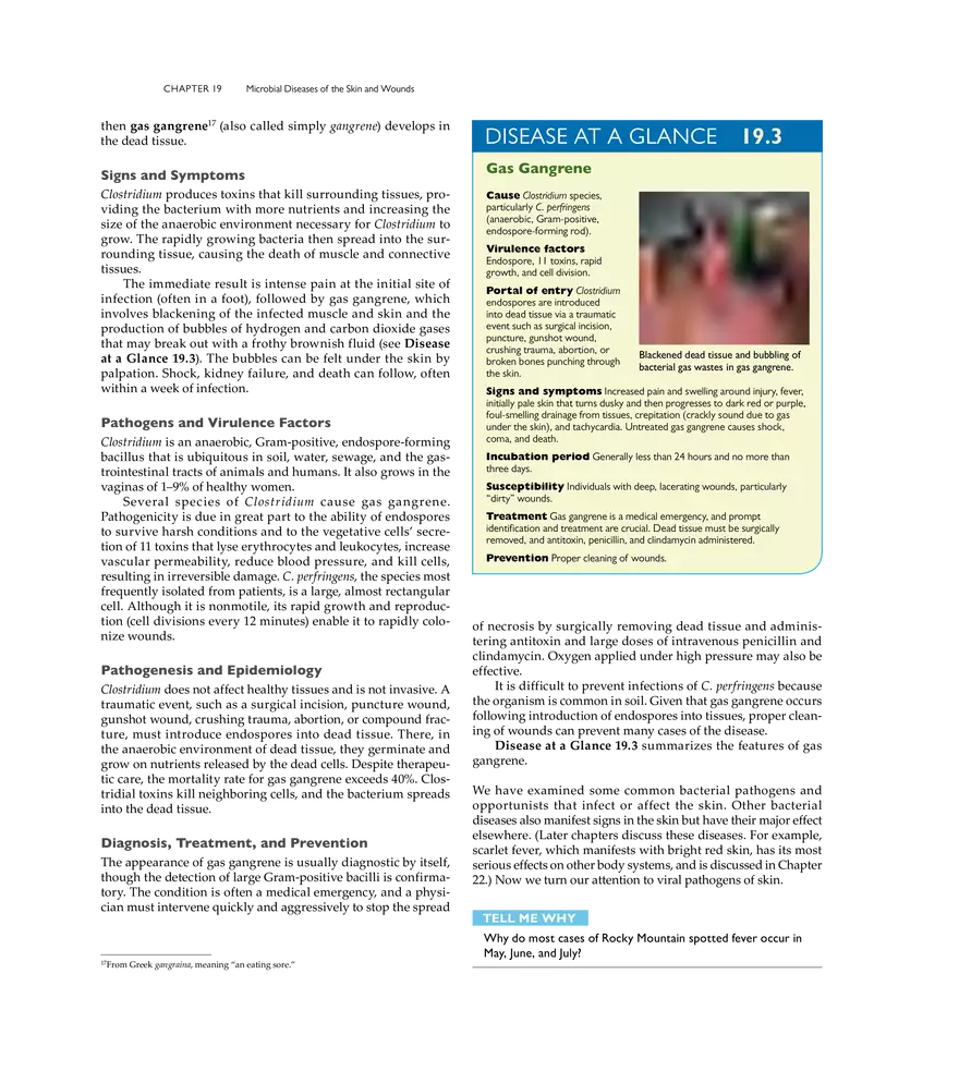 Microbial Diseases of the Skin and Wounds - Page 9