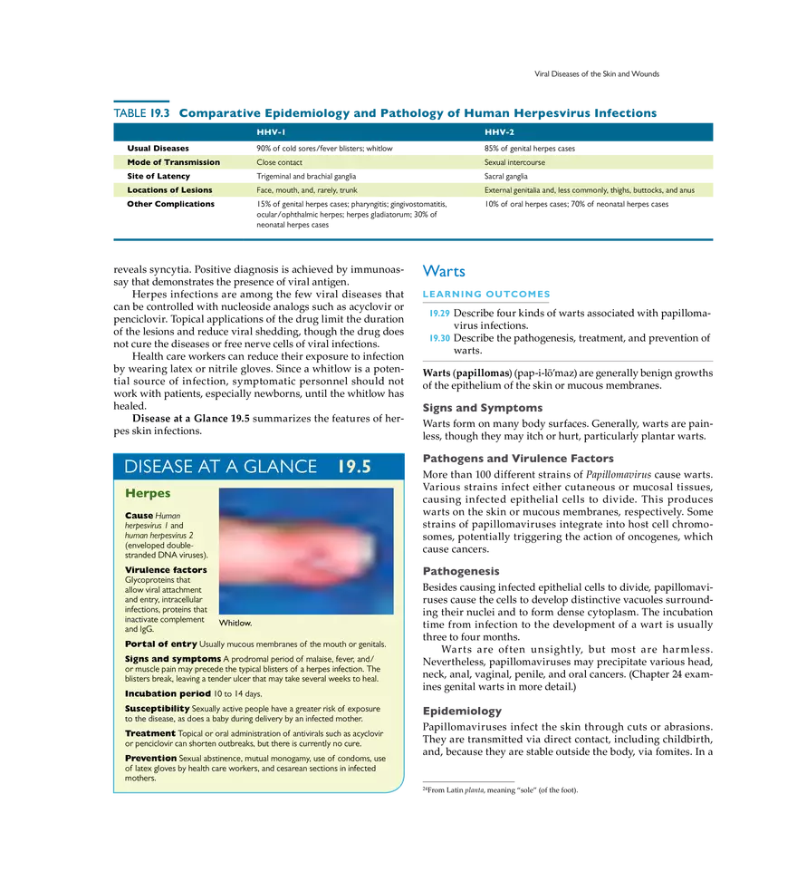 Microbial Diseases of the Skin and Wounds - Page 15