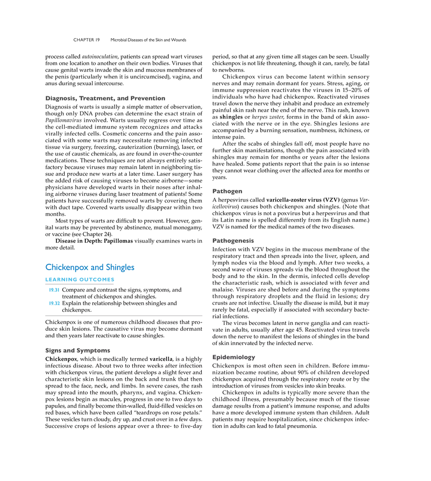 Microbial Diseases of the Skin and Wounds - Page 16
