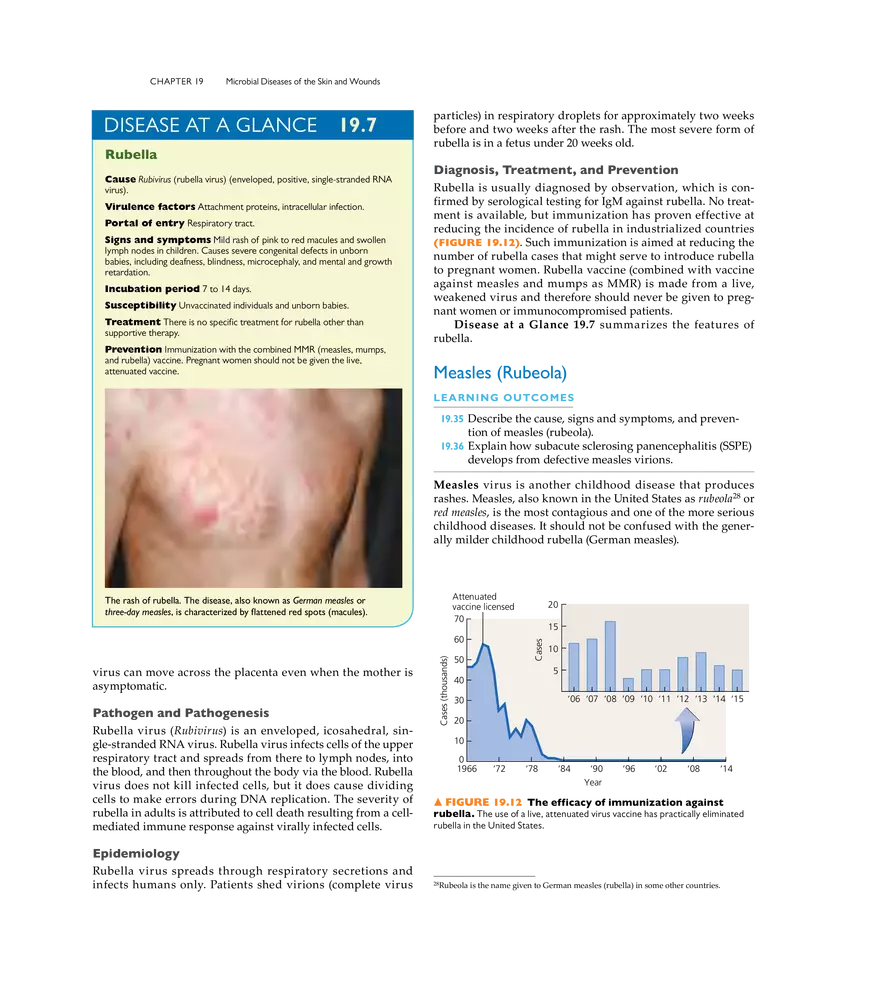 Microbial Diseases of the Skin and Wounds - Page 20