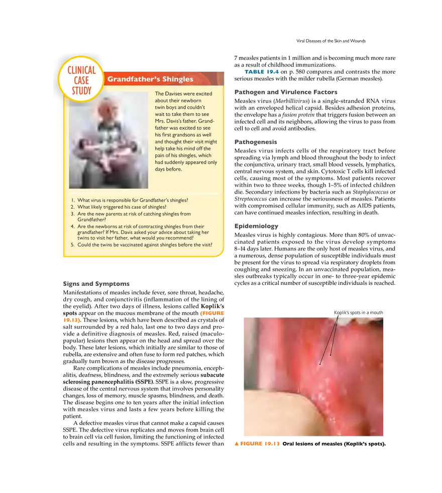 Microbial Diseases of the Skin and Wounds - Page 21