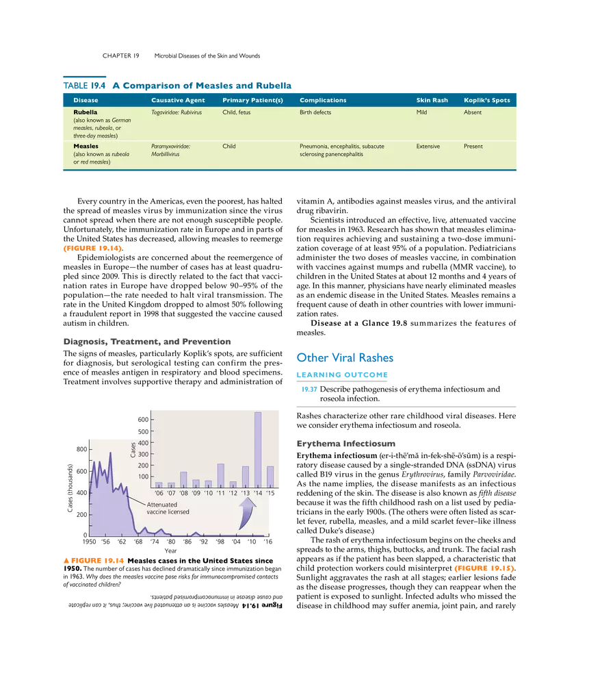 Microbial Diseases of the Skin and Wounds - Page 22