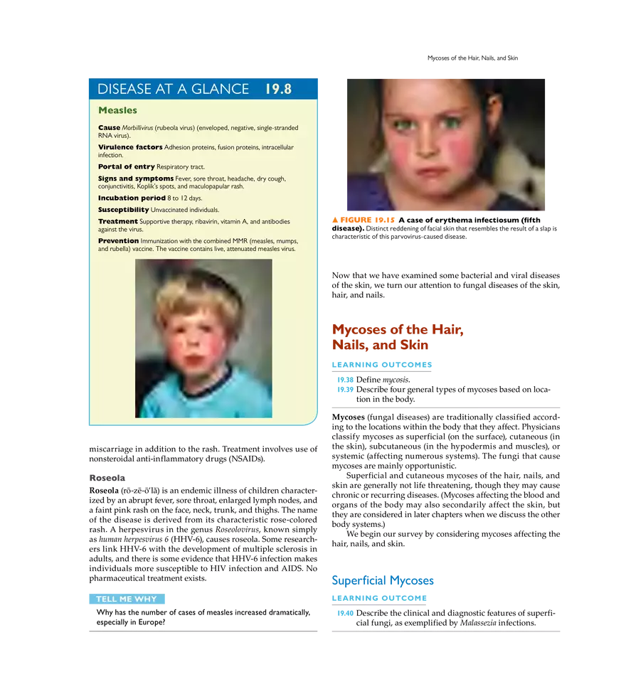 Microbial Diseases of the Skin and Wounds - Page 23