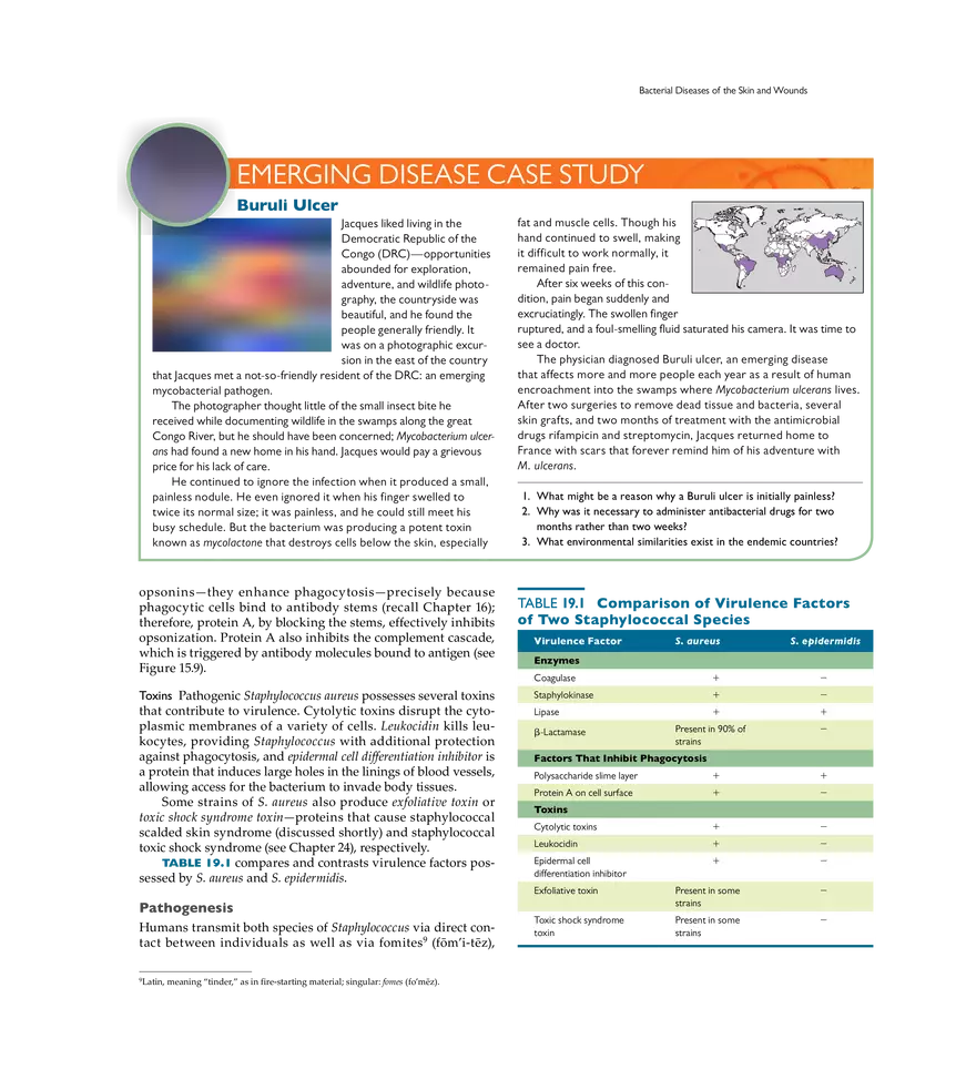 Microbial Diseases of the Skin and Wounds - Page 24