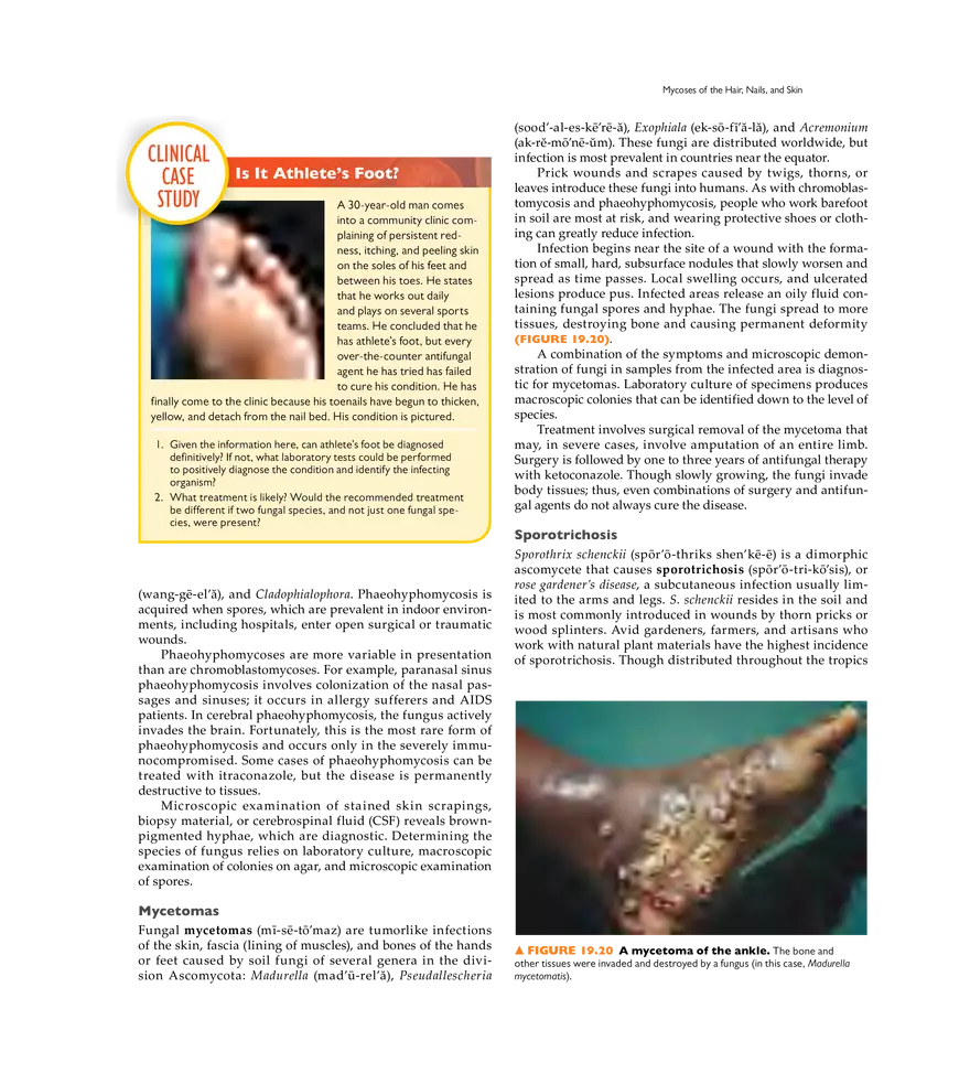 Microbial Diseases of the Skin and Wounds - Page 28