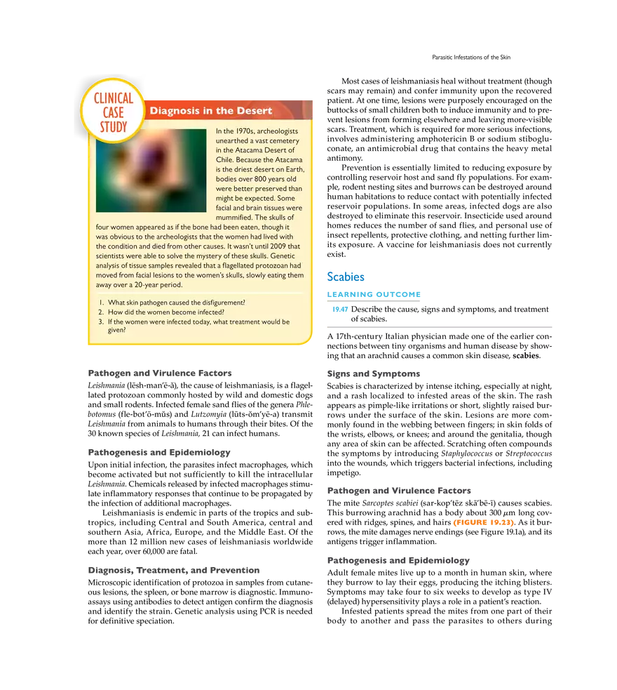 Microbial Diseases of the Skin and Wounds - Page 30
