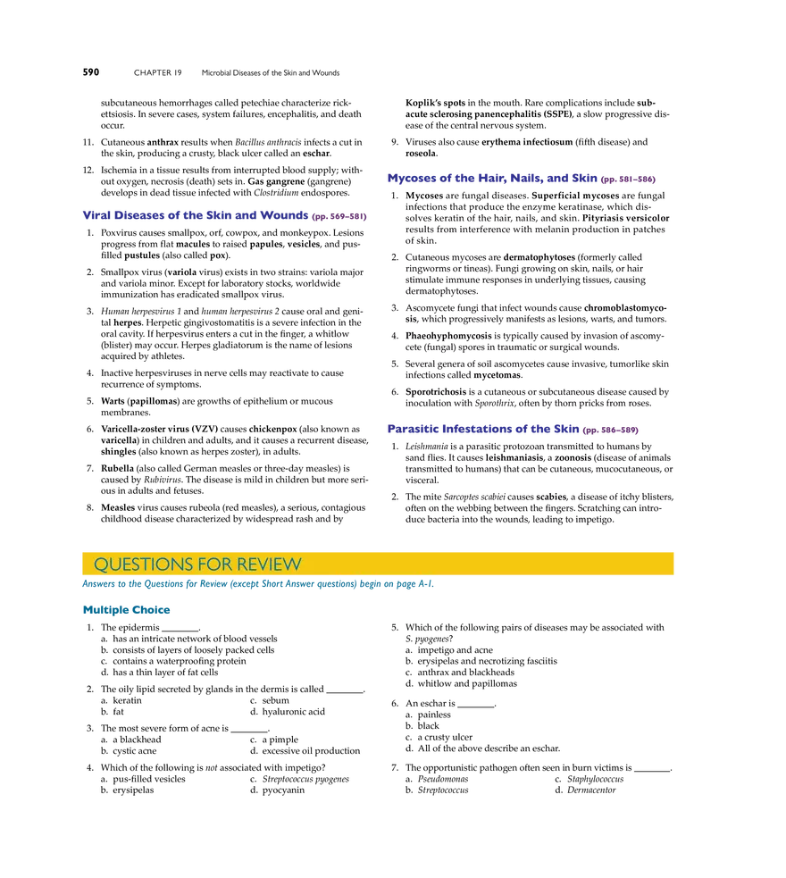 Microbial Diseases of the Skin and Wounds - Page 33