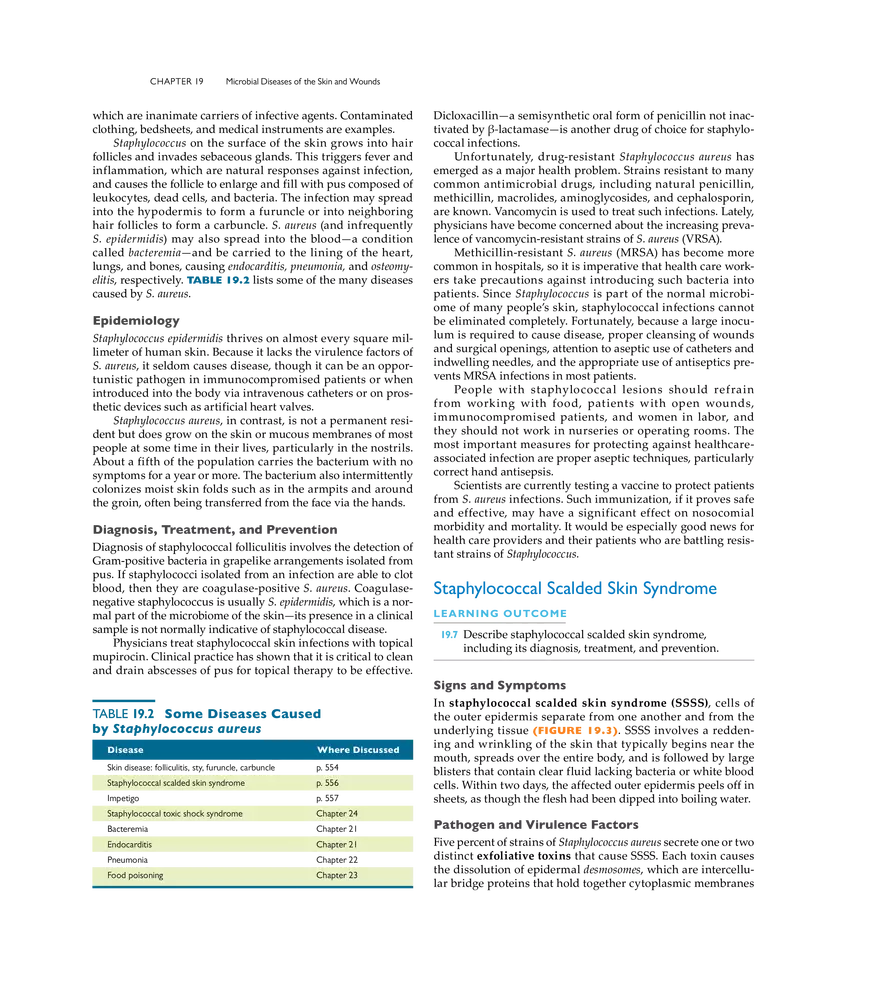 Microbial Diseases of the Skin and Wounds - Page 35