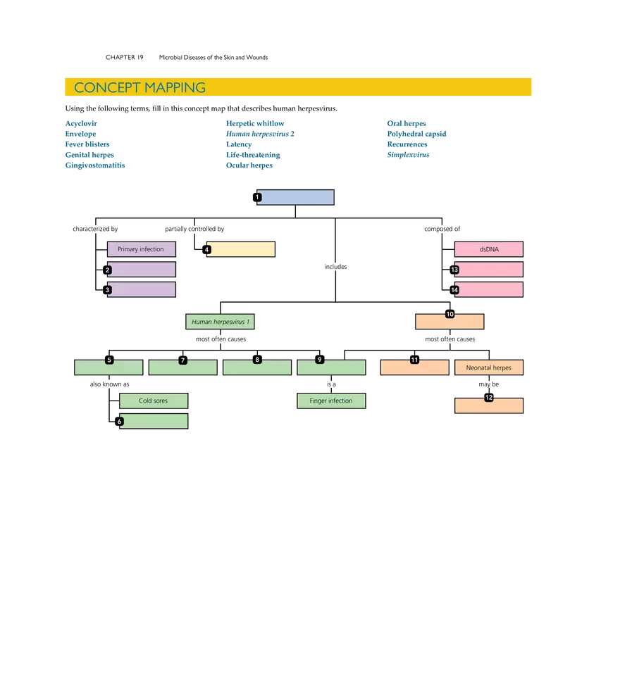 Microbial Diseases of the Skin and Wounds - Page 38