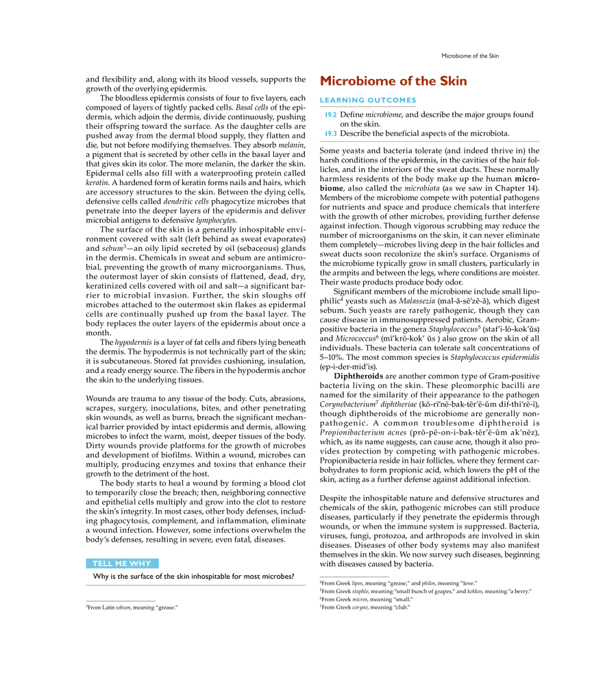 Microbial Diseases of the Skin and Wounds - Page 2