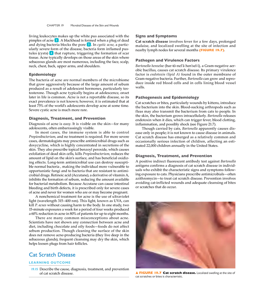 Microbial Diseases of the Skin and Wounds - Page 3