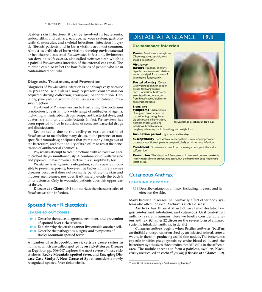 Microbial Diseases of the Skin and Wounds - Page 5