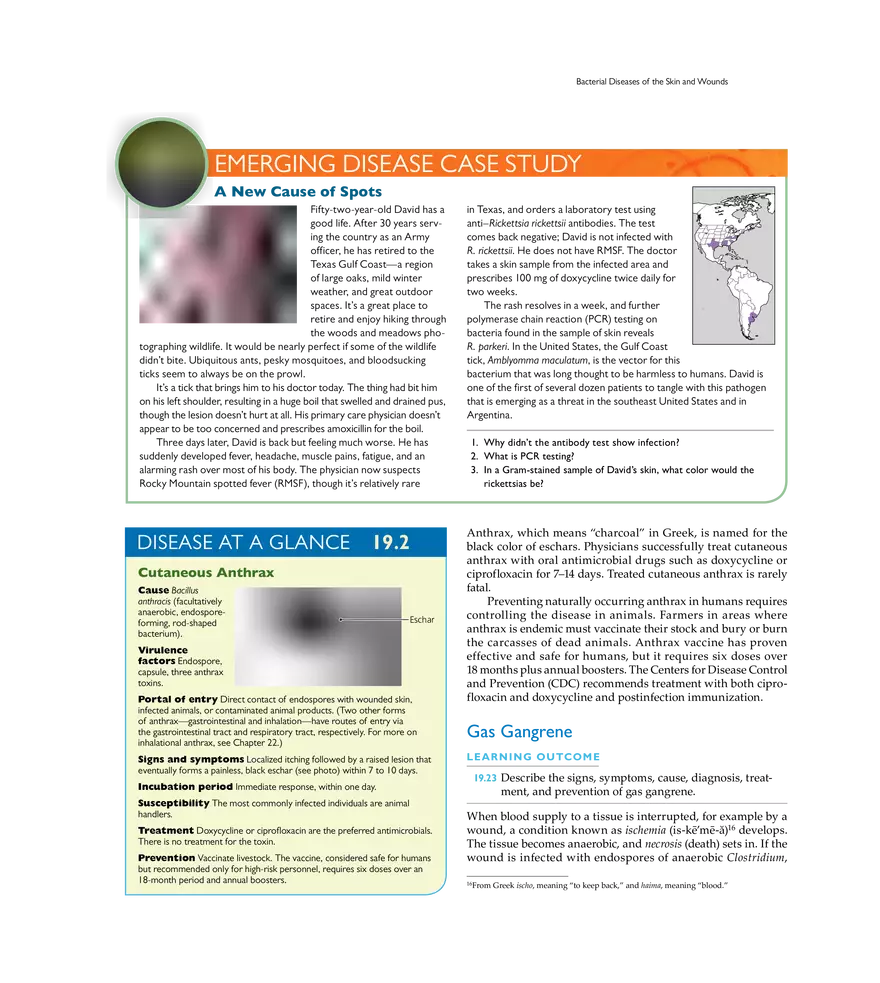 Microbial Diseases of the Skin and Wounds - Page 6