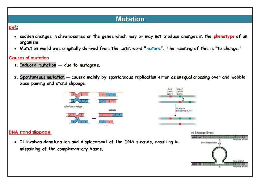 Mutation Notes - Page 1