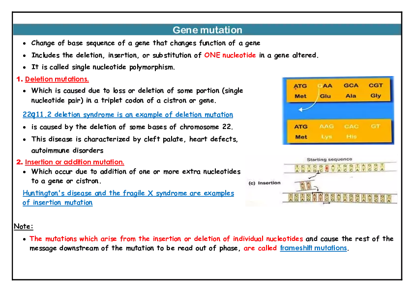 Mutation Notes - Page 4