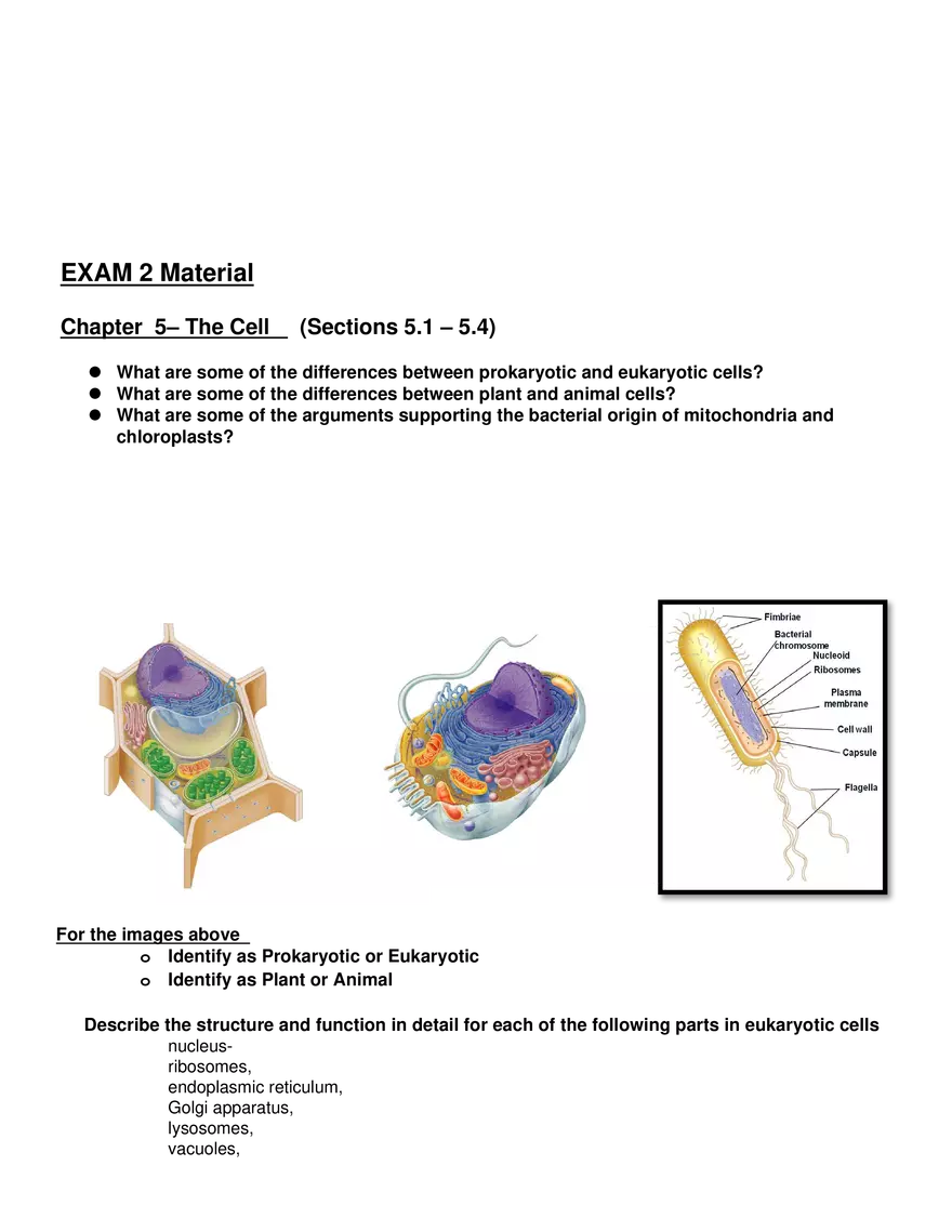 Review Sheet for Biology Exam 2 - Page 1