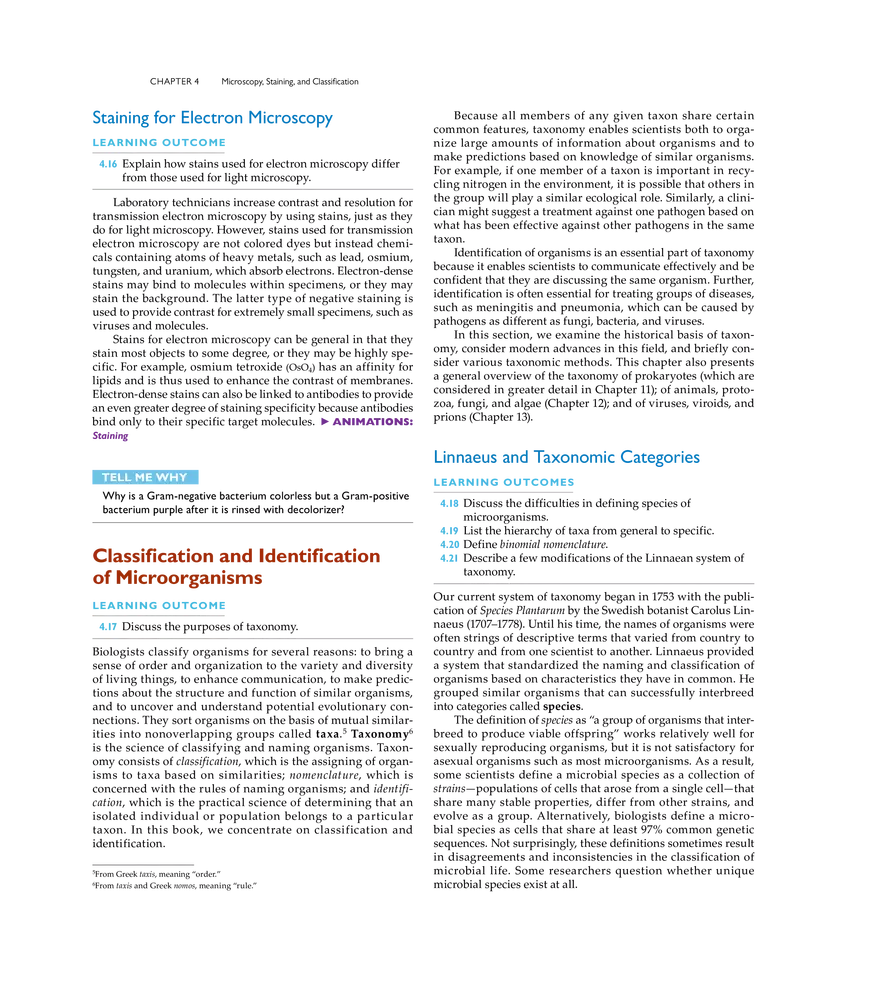 Microscopy, Staining, and Classification - Page 8