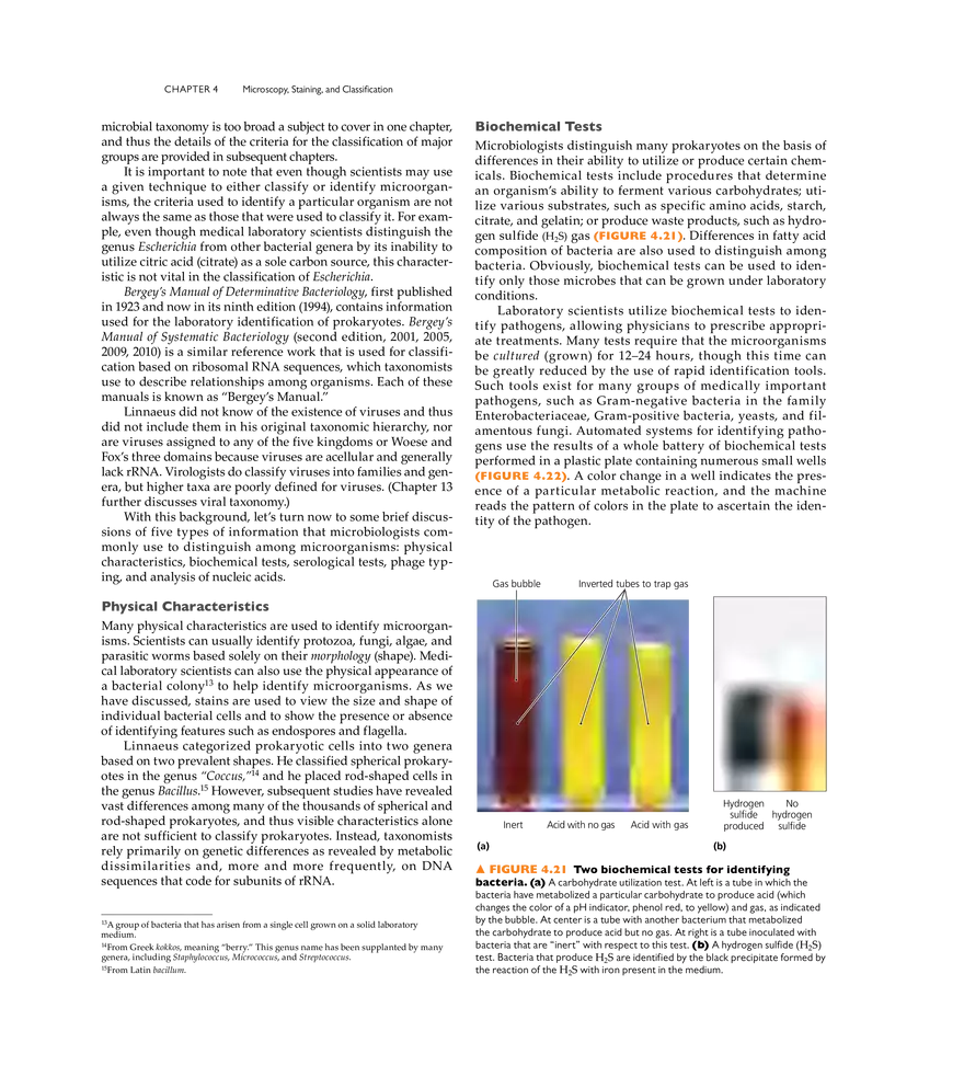 Microscopy, Staining, and Classification - Page 12