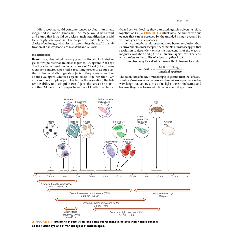 Microscopy, Staining, and Classification - Page 13