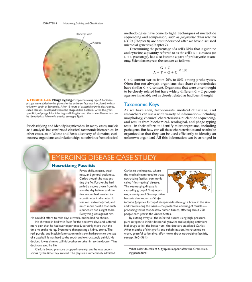 Microscopy, Staining, and Classification - Page 15