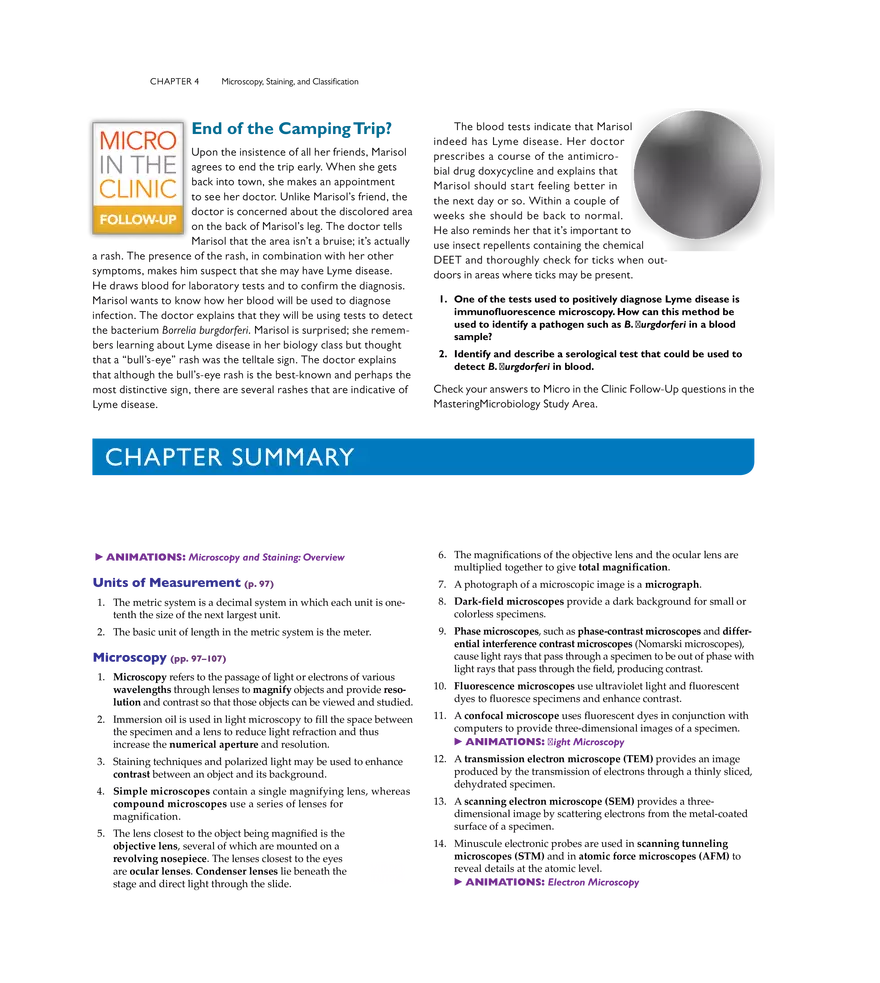 Microscopy, Staining, and Classification - Page 17