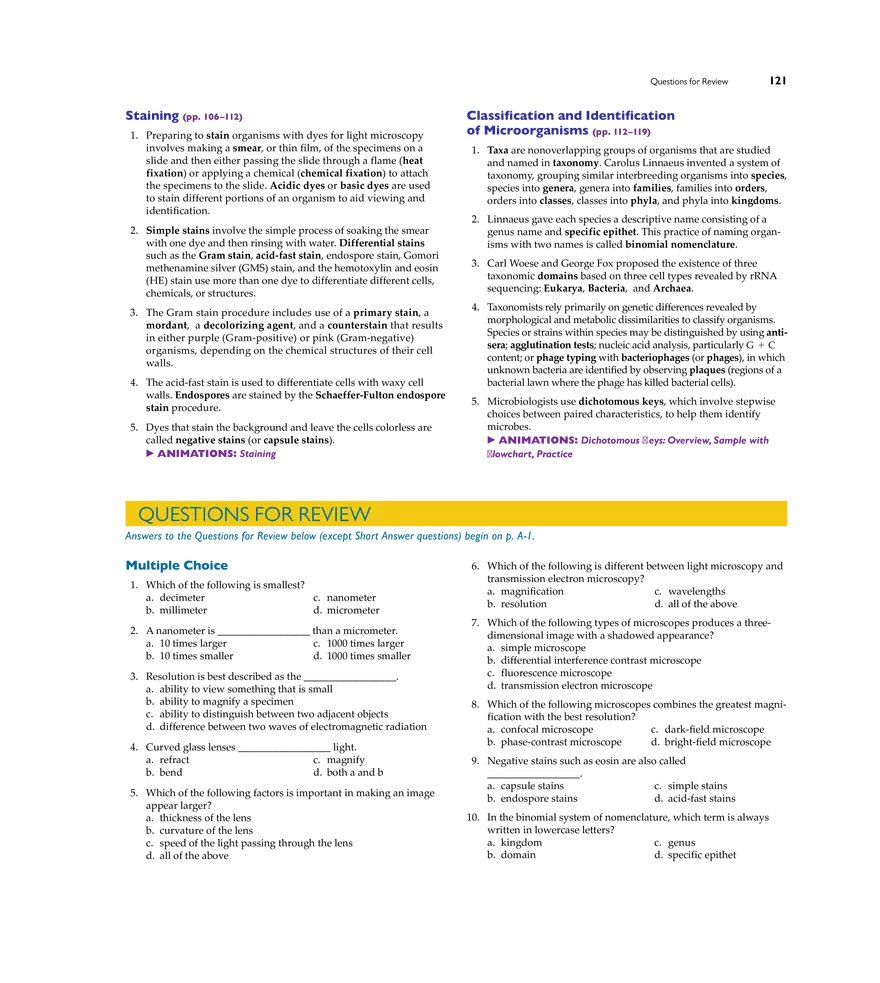 Microscopy, Staining, and Classification - Page 18