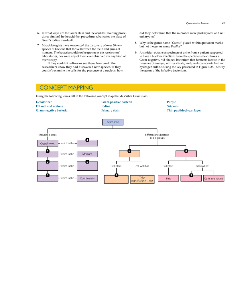 Microscopy, Staining, and Classification - Page 20