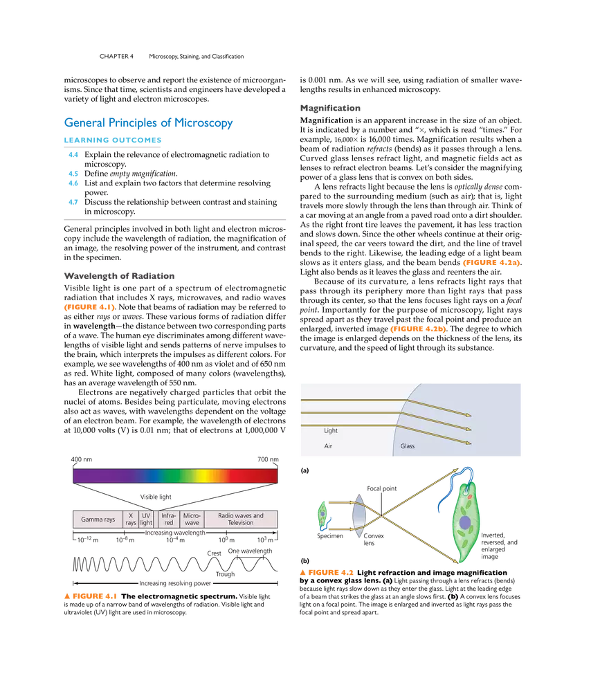 Microscopy, Staining, and Classification - Page 2