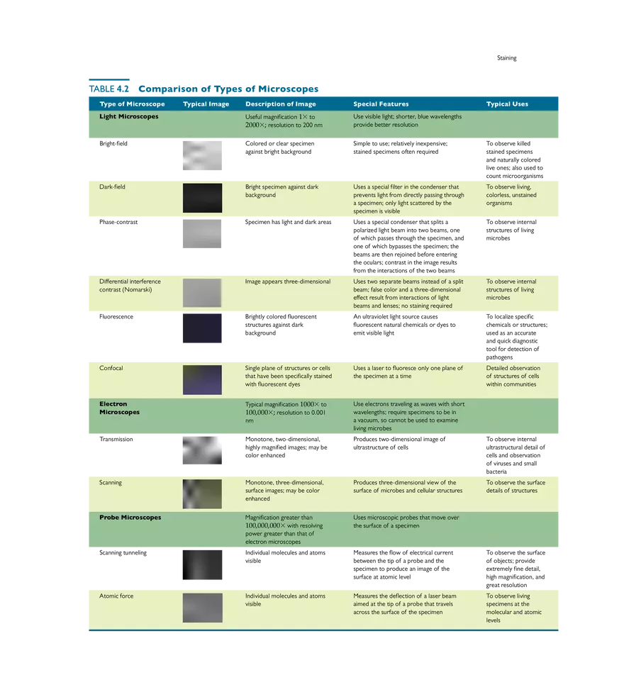 Microscopy, Staining, and Classification - Page 3