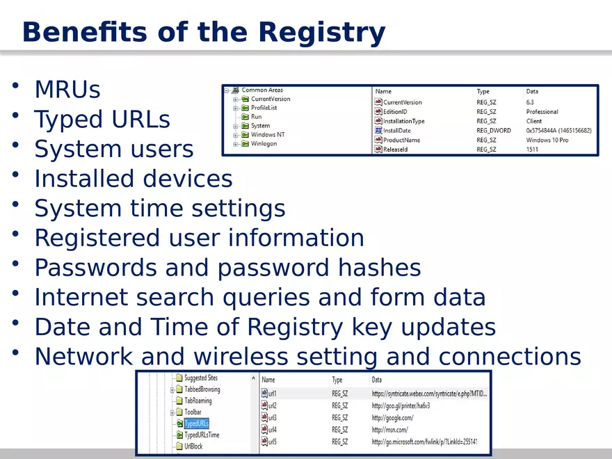 AccessData Registry Viewer 101 - Page 19
