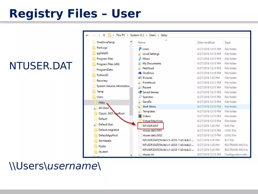 AccessData Registry Viewer 101 - Page 21