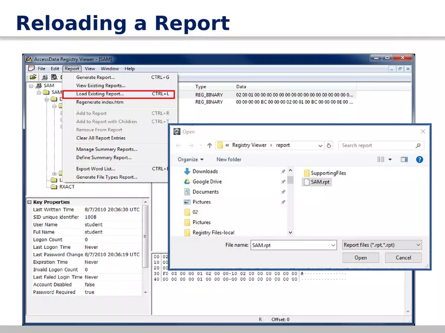 AccessData Registry Viewer 101 - Page 4