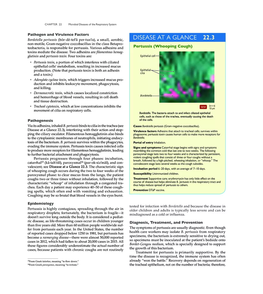 Microbial Diseases of the Respiratory System - Page 9